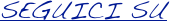 SEGUICI SU

