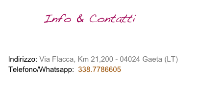        Info & Contatti

COME RAGGIUNGERCI - MAPPA
lndirizzo: Via Flacca, Km 21,200 - 04024 Gaeta (LT) 
Telefono/Whatsapp:  338.7786605 
