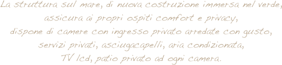 La struttura sul mare, di nuova costruzione immersa nel verde, assicura ai propri ospiti comfort e privacy, 
dispone di camere con ingresso privato arredate con gusto, 
servizi privati, asciugacapelli, aria condizionata, 
TV lcd, patio privato ad ogni camera.


